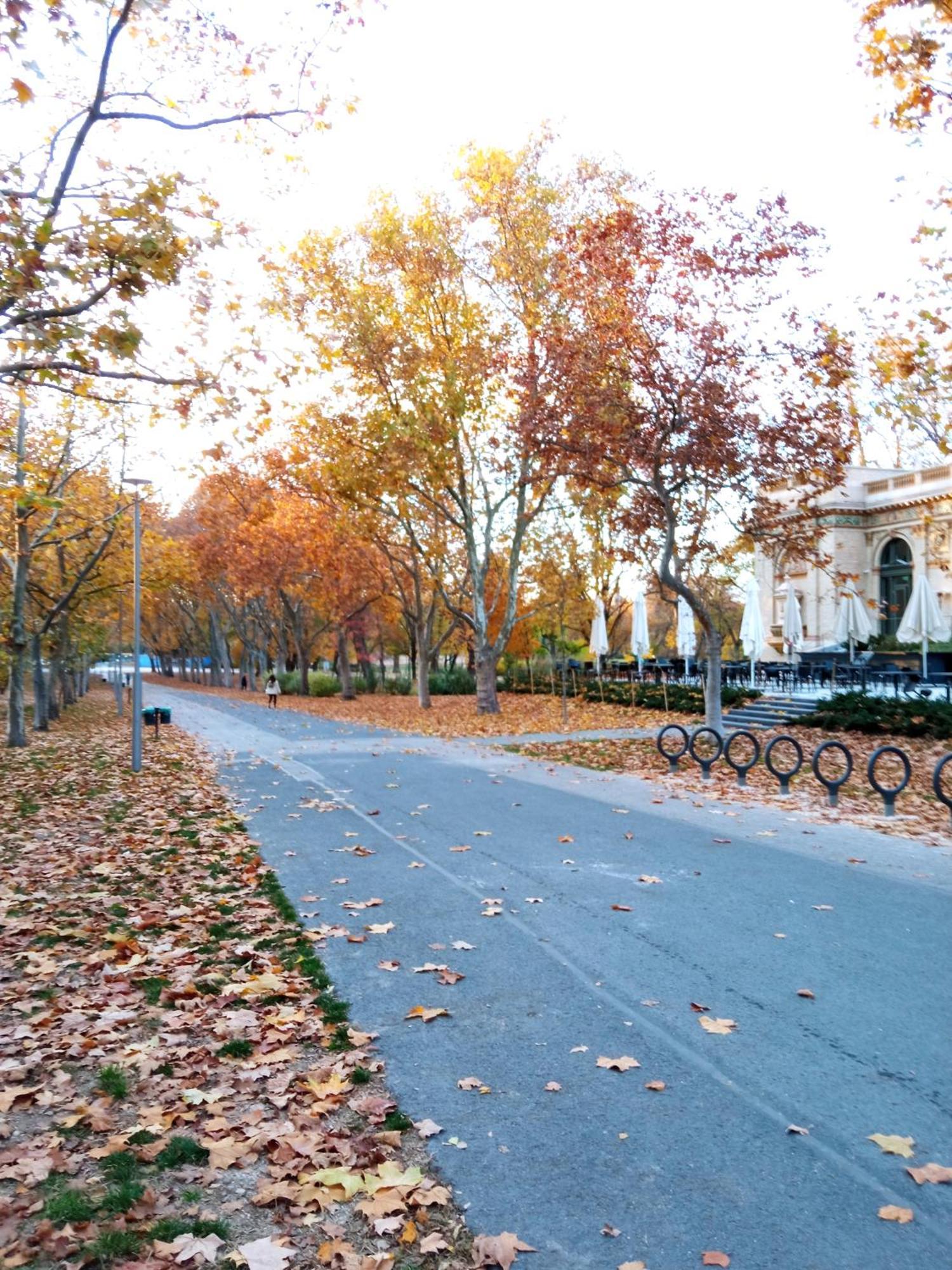 Free Garage! Downtown Apartment, Near To Andrassy Avenue Budapest Exterior foto